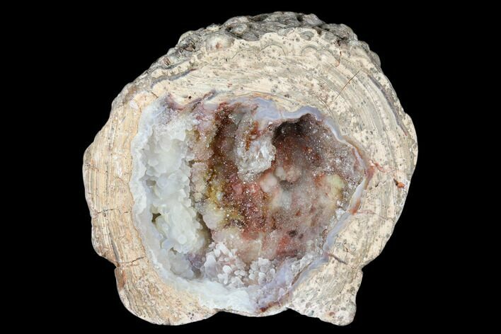 Crystal Filled Dugway Geode (Polished Half) - Utah #176743